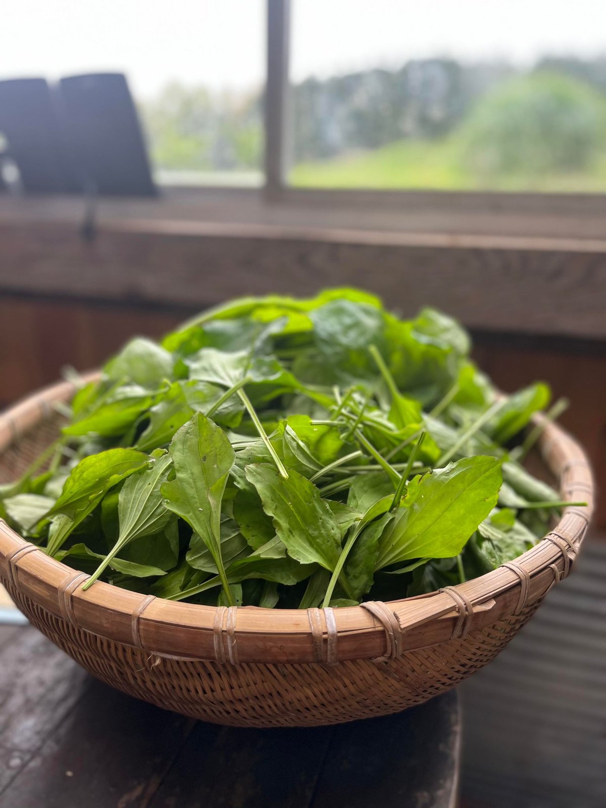 おまとめ びわの葉バーム　10個　20ml よもぎバーム　　10個　20ml おまとめ びわの葉バーム10個20ml よもぎバーム10個20ml