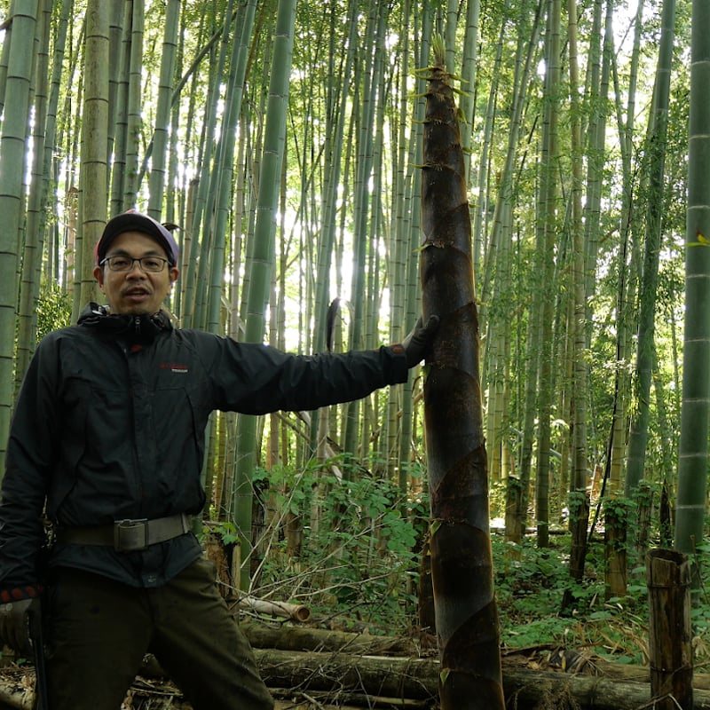 Man 生写真　　全423枚 身の程を知れ。 😈