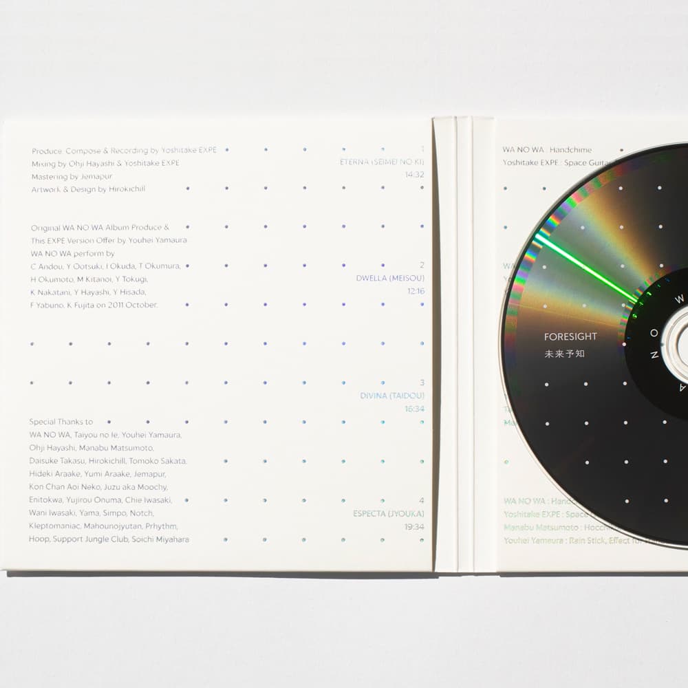 【洋書】 WHAT CAN I MANIFEST ？(レア本) 洋書】 WHAT CAN I MANIFEST ？(レア本)