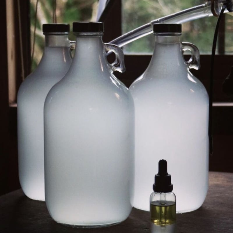 クロモジ 蒸留水 〜 Kuromoji Herbal Water〜 / 天然クロモジ/ ハー