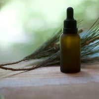 赤松の細胞水 /  Akamatsu  cell-water / Pinus densiflora / 生体水/ 限定品(希少)