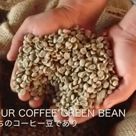 salamander coffee (サラマンダー コーヒー)  100g /自家焙煎/森の珈琲/ハンドロースト/アラビカ種/珈琲豆