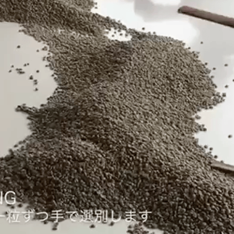 salamander coffee (サラマンダー コーヒー)  100g /自家焙煎/森の珈琲/ハンドロースト/アラビカ種/珈琲豆