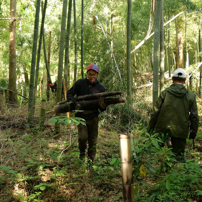 のびたけぇ ＝塩漬けメンマ＝/ 純国産メンマ/タケノコ/ 保存食/ 日本産