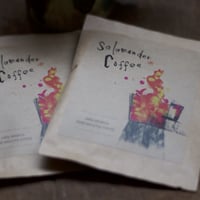 salamander coffee/ ドリップパック 5個セット /自家焙煎 / 無農薬 /organic /hand roast