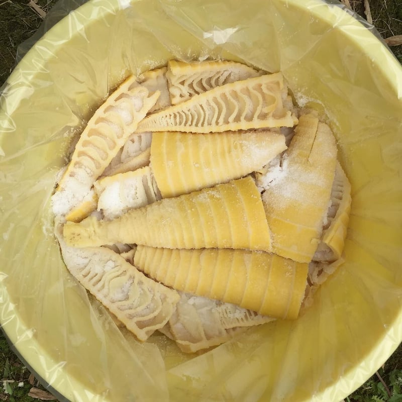 のびたけぇ ＝塩漬けメンマ＝/ 純国産メンマ/タケノコ/ 保存食/ 日本産