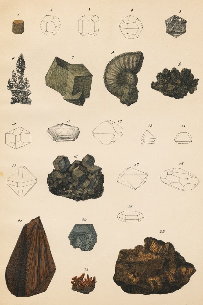 1878年鉱物画④＜ドイツ＞◇ アンティーク・クロモリトグラフ | Astro