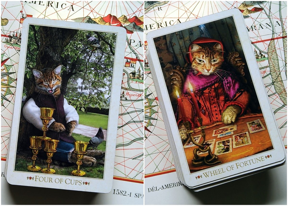 【希少！限定入荷】 バロック ボヘミアン キャッツ タロット ミニ 3rd. EDITION ◆The Baroque Bohemian Cats'  Tarot Miniature Deck