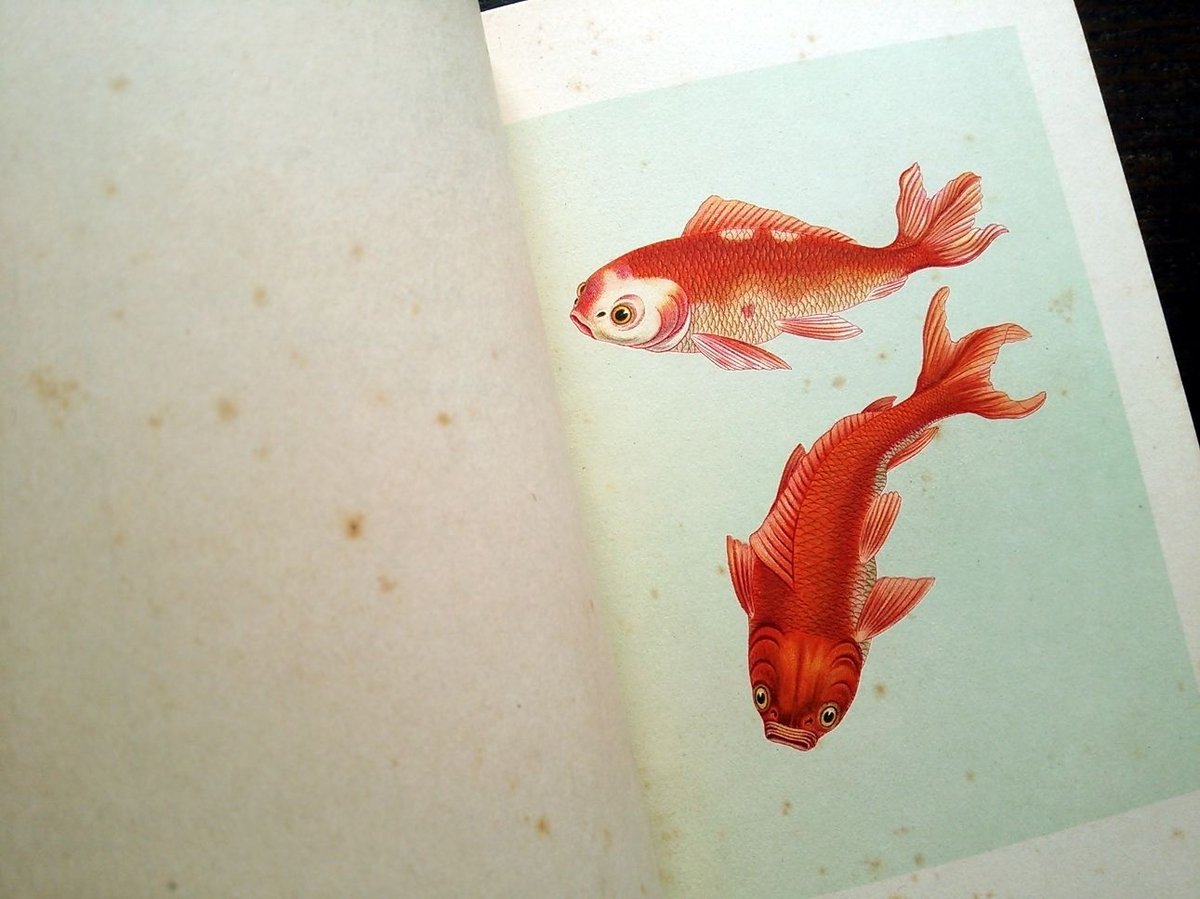 再入荷】1935年ドイツ インゼル文庫Nr.255＜小さな金魚の本