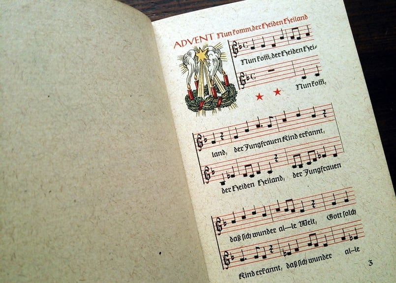 アンティーク 本、狩猟犬の品種、珍しいドイツの本 ドイツ語 洋書