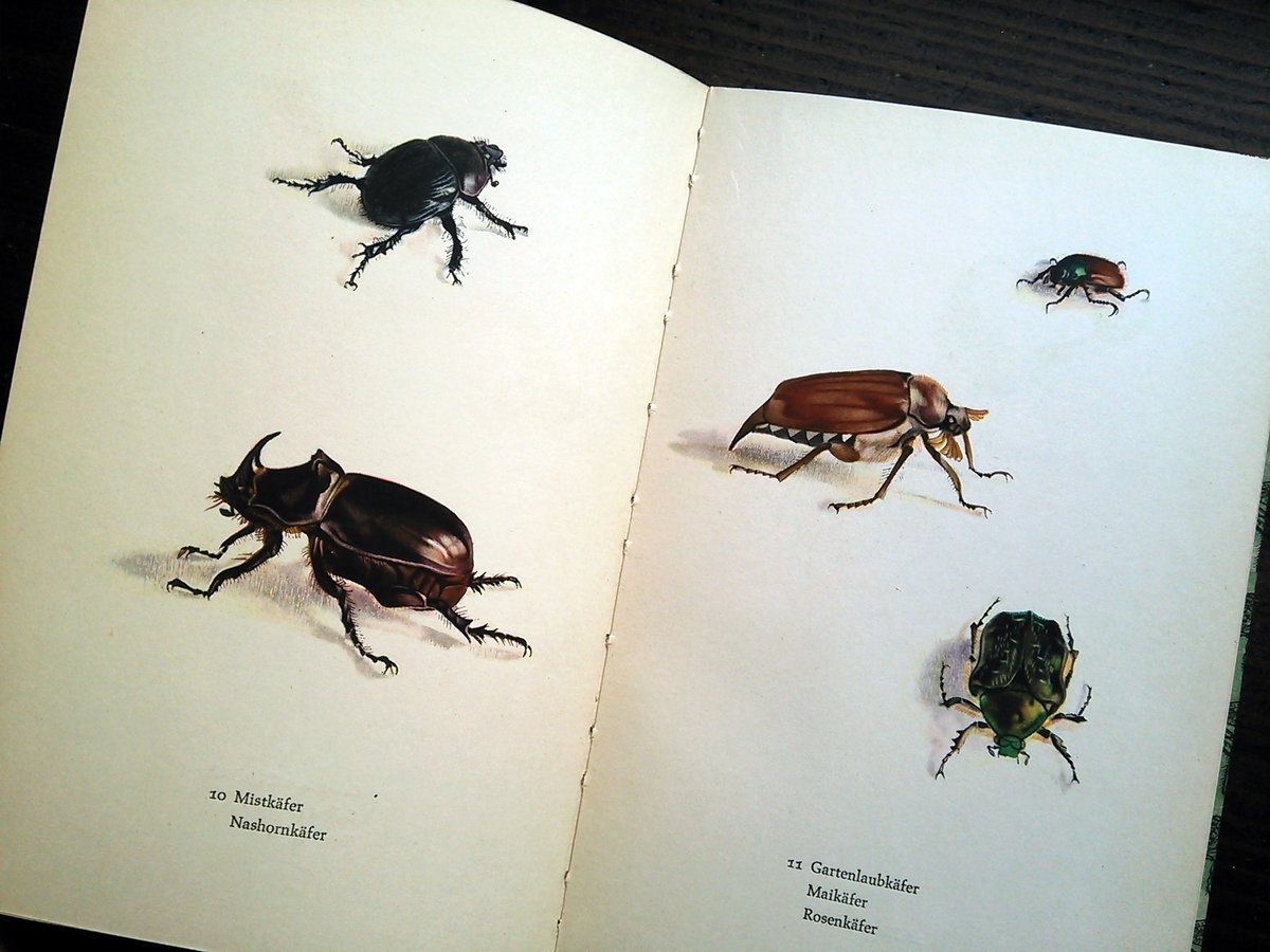 再入荷】1961年ドイツ インゼル文庫Nr.725＜小さな昆虫図鑑＞◇Das