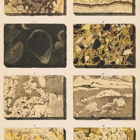 クロモリトグラフ | STORES