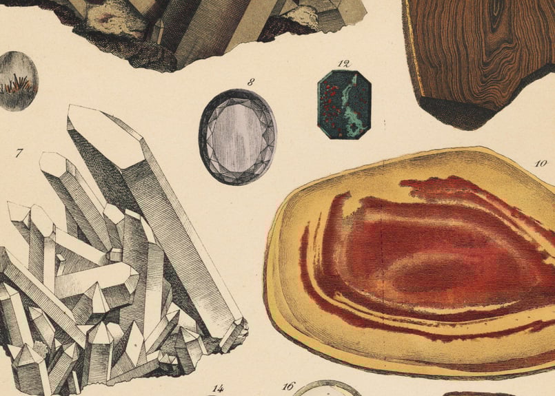 オーストラリアの動物相　マイヤー百科事典　1897年　ドイツ　アンティーク　版画 ヨーロッパ,コレクション,イラスト,挿絵,物語,アンティーク,動物