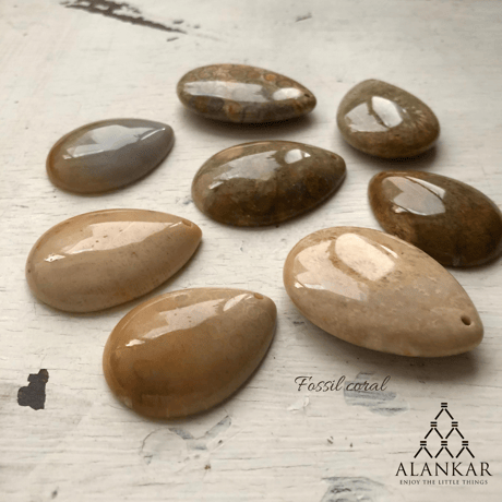 CATEGORY フォッシルコーラル | ALANKAR