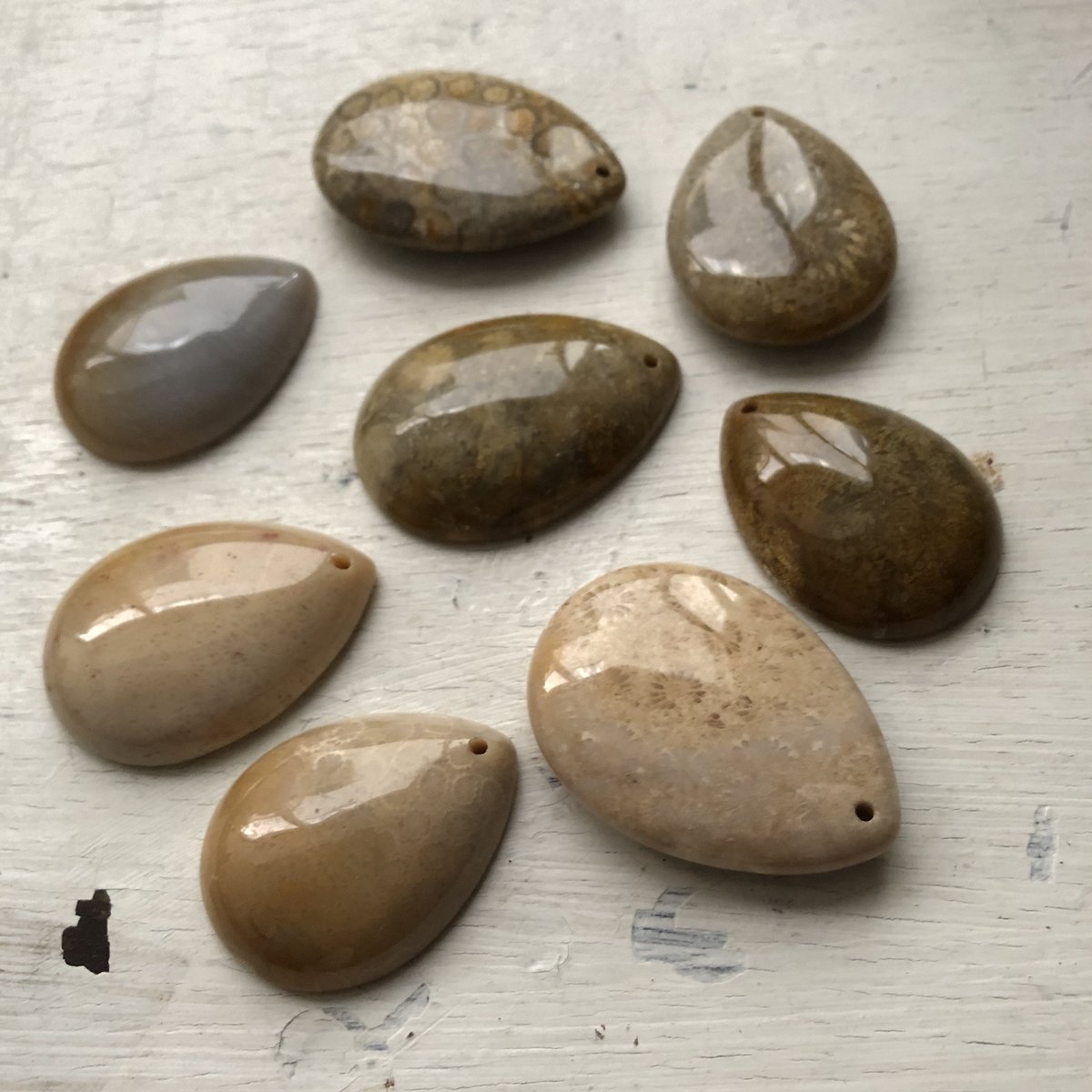 あずきちゃんフォッシルコーラル　クマパーツ　1-156 フォッシルコーラル・穴あきルース（2個セット） | ALANKAR