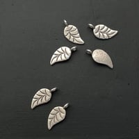 カレンシルバー（リーフ）カンあり　No.3