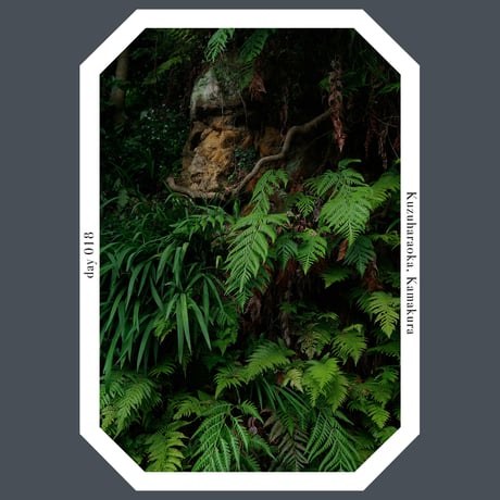 KROFUNE GOWN “Fern Long”