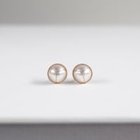 1/2 Akoya pearl stud earrings 7mm / 1/2 アコヤパールピアス（7mm)