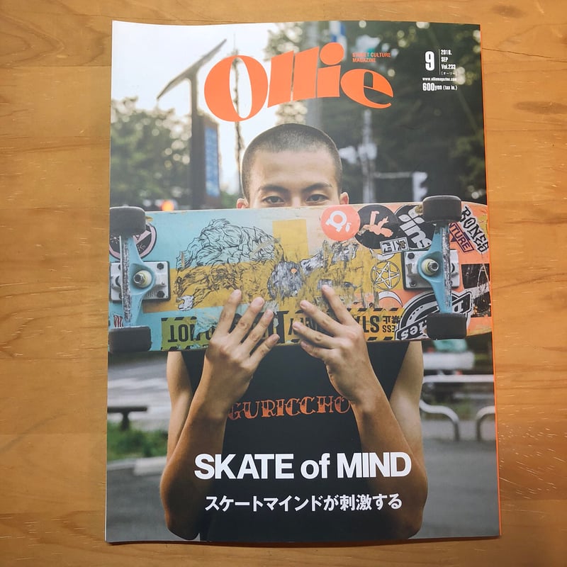 Mark Gonzales / Pika Pika skate board chopstick