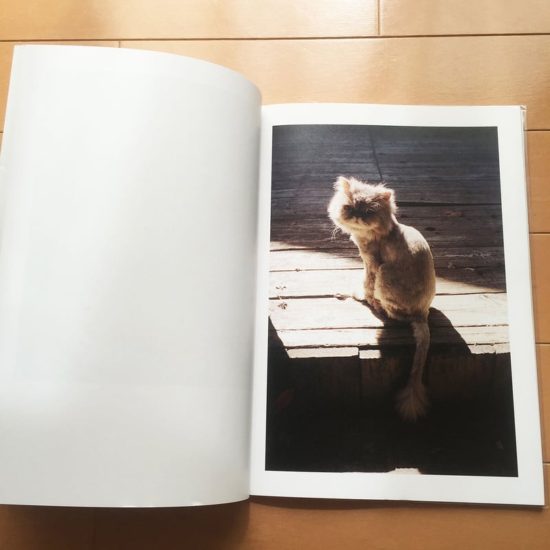 猫の本 The Cat Book 改訂版 猫の本 The Cat Book 改訂版 猫の本 改訂版 ([テキスト])