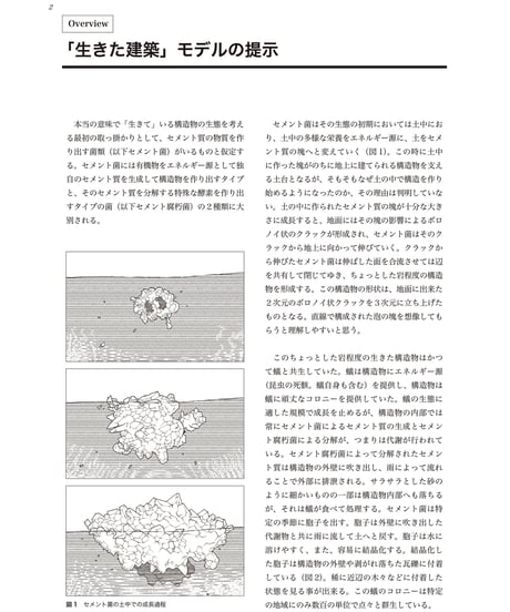 瓦礫の結晶_No.51
