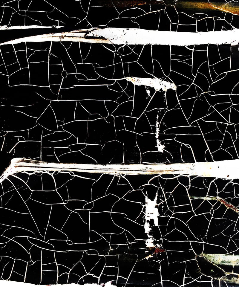 ゲッコウガ　限定クリアファイル ゲッコウガ 限定クリアファイル ゲッコウガ | STORES