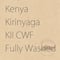 Kenya AA Kirinyaga KII CWF Fully Washed