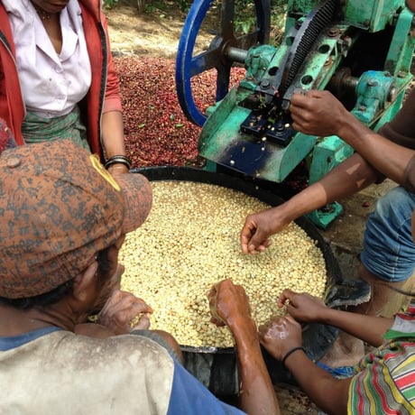 Timor Leste Letefoho Leubasa Village Fully Washed