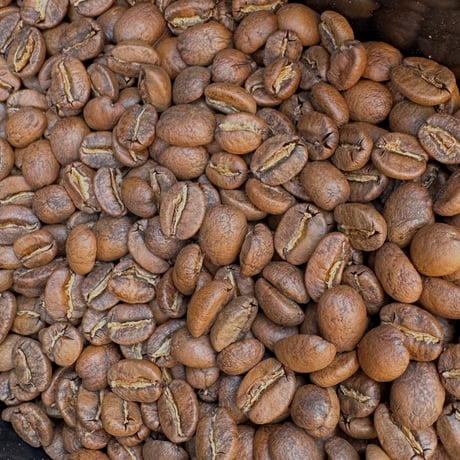 [残り僅か] Peru Cajamarca Finca Buena Vista Fully Washed