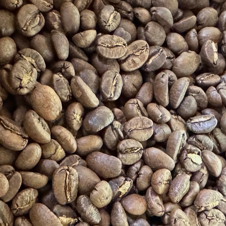Kenya AA Kirinyaga KII CWF Fully Washed
