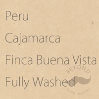 [残り僅か] Peru Cajamarca Finca Buena Vista Fully Washed