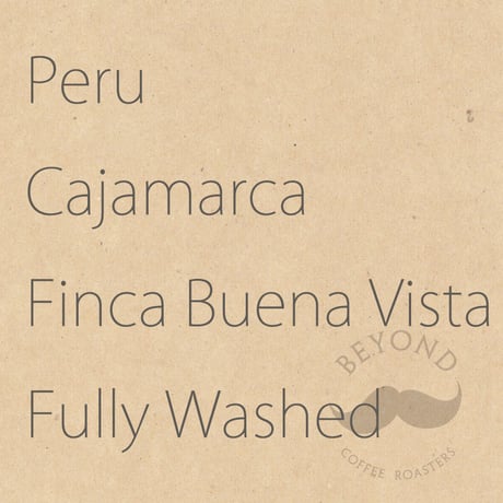 [残り僅か] Peru Cajamarca Finca Buena Vista Fully Washed