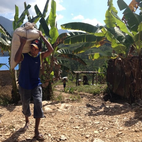 Timor Leste Letefoho Leubasa Village Fully Washed