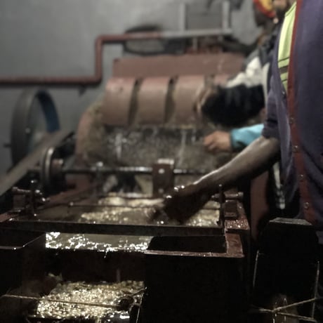 Ethiopia Yirgacheffe G1 Gotiti CWS Fully Washed