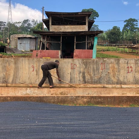 Ethiopia Yirgacheffe G1 Worka Sakkaro CWS Natural process