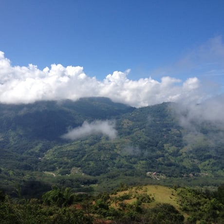 Timor Leste Letefoho Leubasa Village Fully Washed