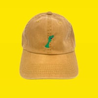 石川君CAP camel