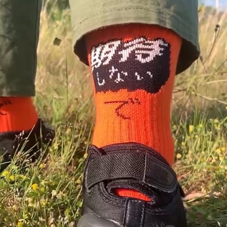 期待しない・で SOCKS