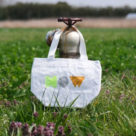 [HOW] Tyvek BAG