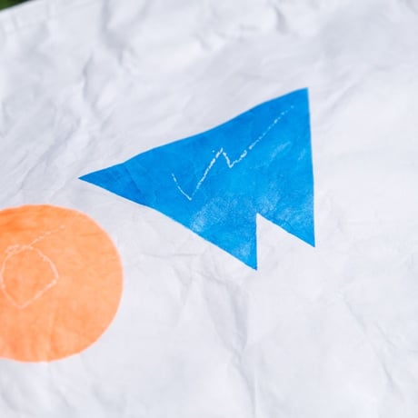 [HOW] Tyvek BAG