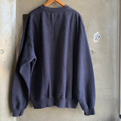 RENEW-SW04