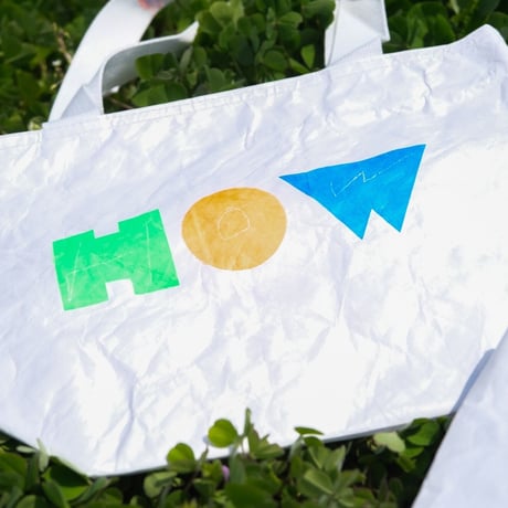 [HOW] Tyvek BAG