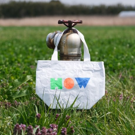[HOW] Tyvek BAG