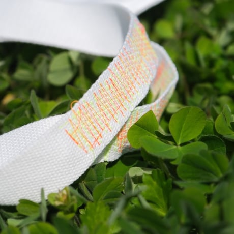 [HOW] Tyvek BAG