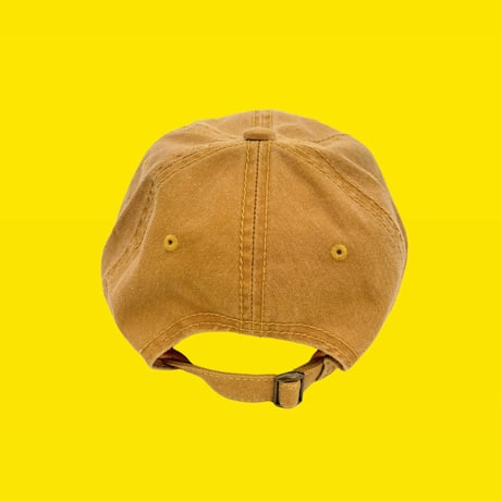石川君CAP camel