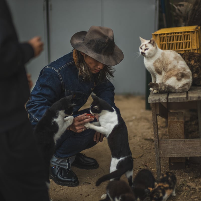Storm Cats Drive Jacket | TCB jeans Storm Cats Drive Jacket | TCB jeans