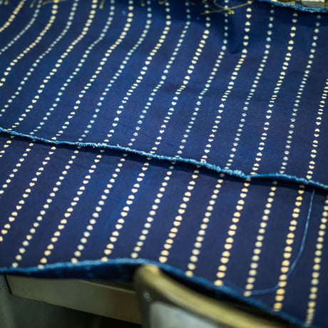 Cathartt Chore Coat Paw Stripe