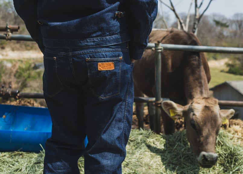 Working Cat Hero Jeans | TCB jeans