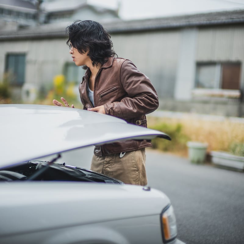 平金 Kin| zither with gold and silver |hyōmon|. - Shosoin