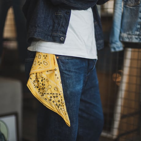 Two Cats Bandana